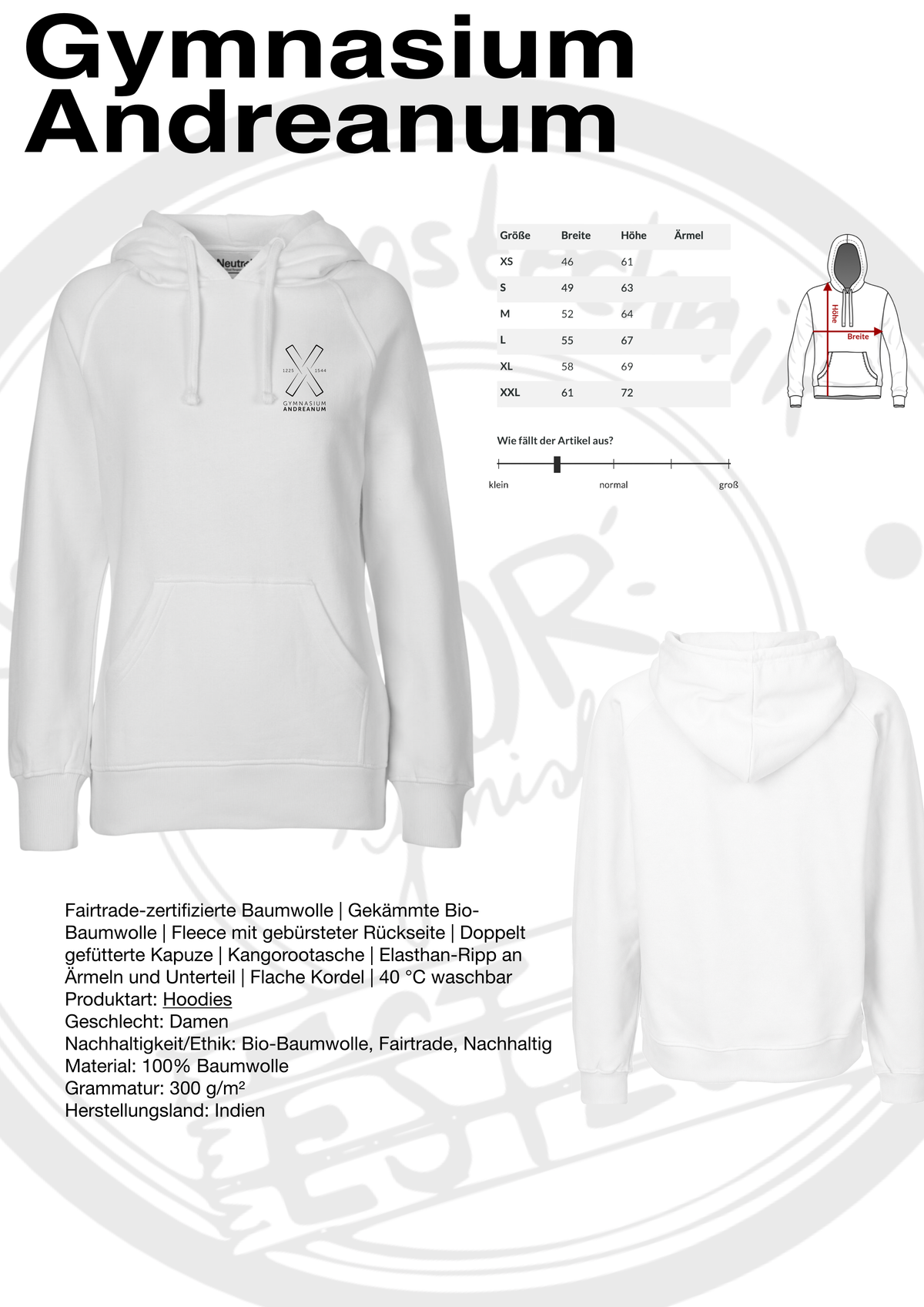 Hoodie Gymnasium Andreanum