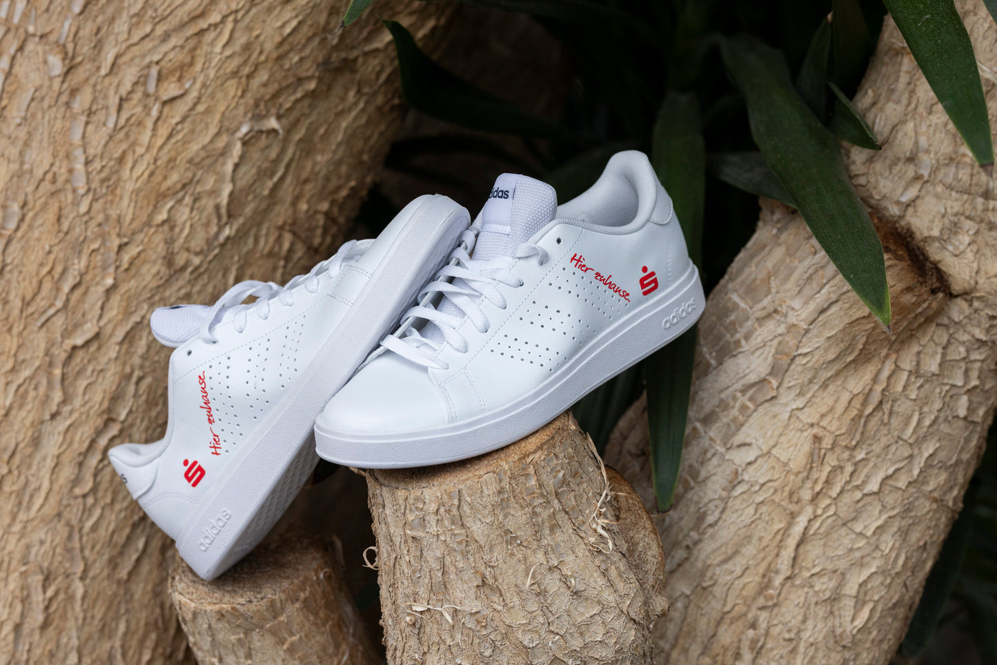 Sparkasse Sneaker "Hier zuhause"
