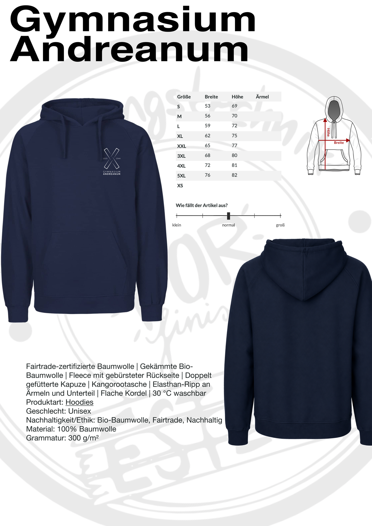 Hoodie Gymnasium Andreanum