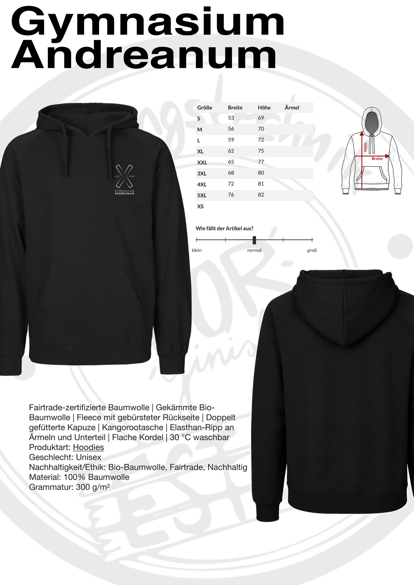 Hoodie Gymnasium Andreanum