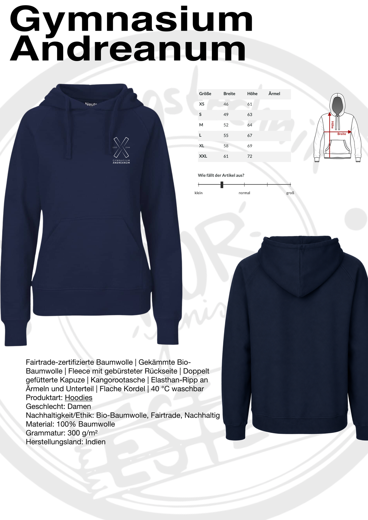 Hoodie Gymnasium Andreanum