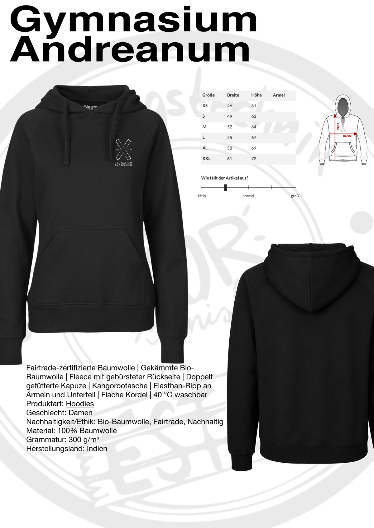 Hoodie Gymnasium Andreanum