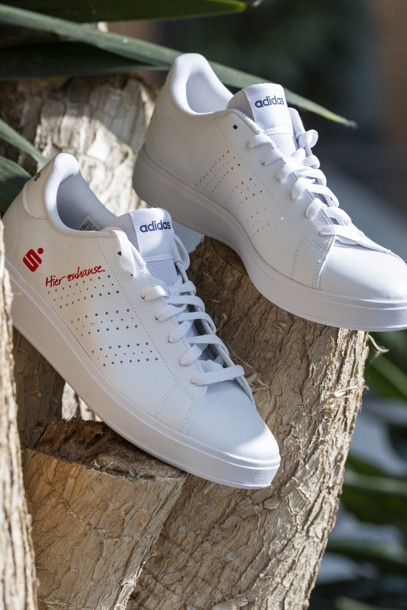 Adidas Sneaker im Sparkassen-Design Hier zuhause